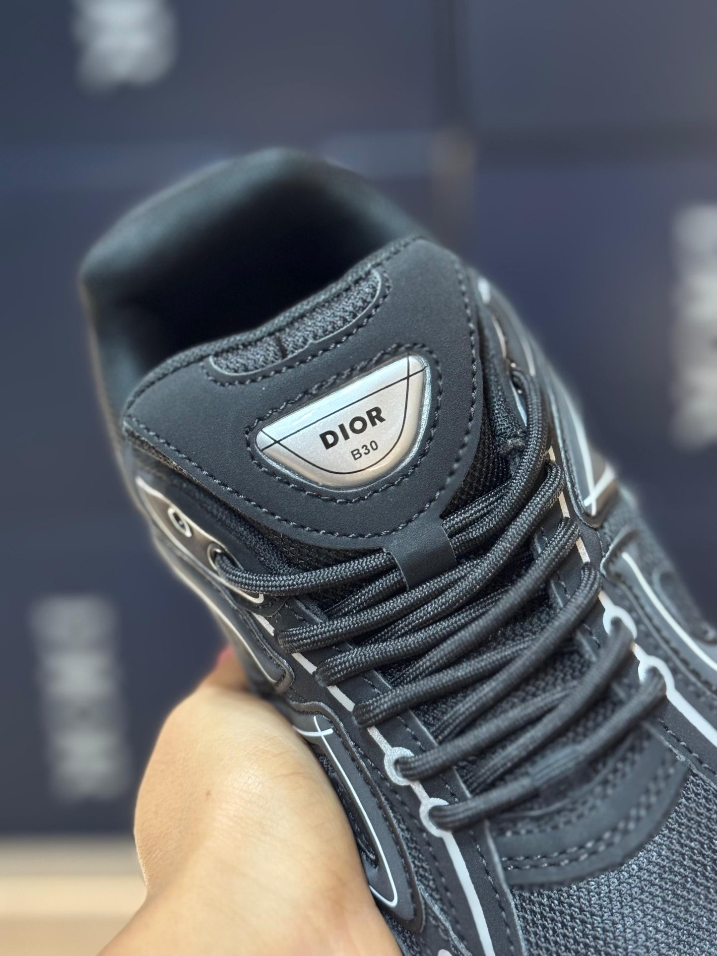 DIOR b30