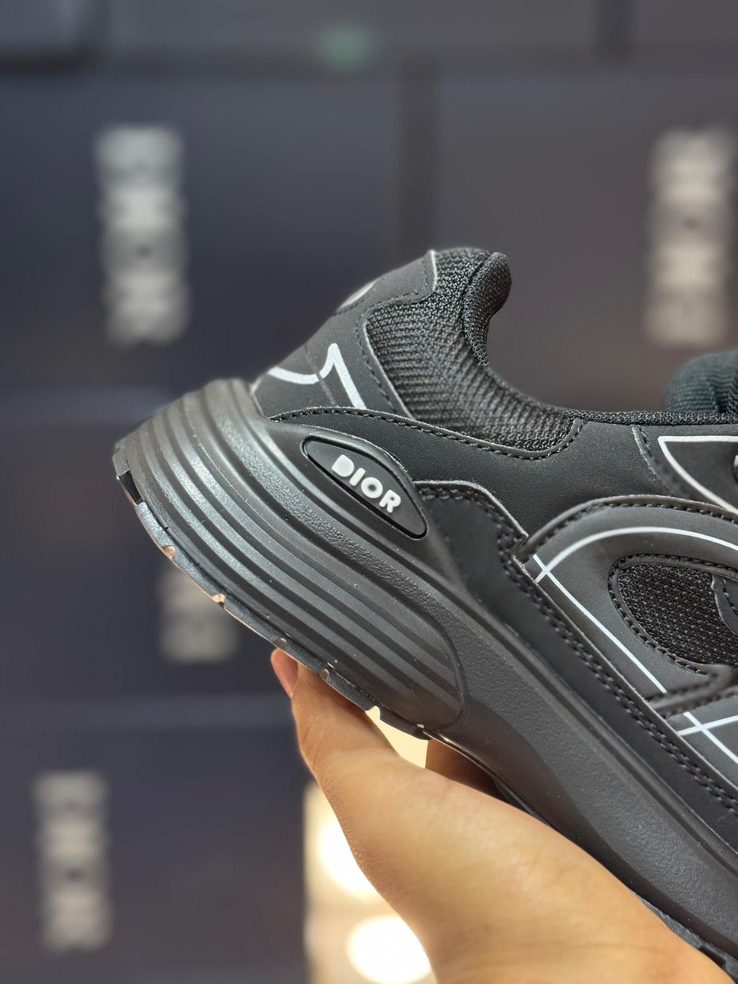 DIOR b30
