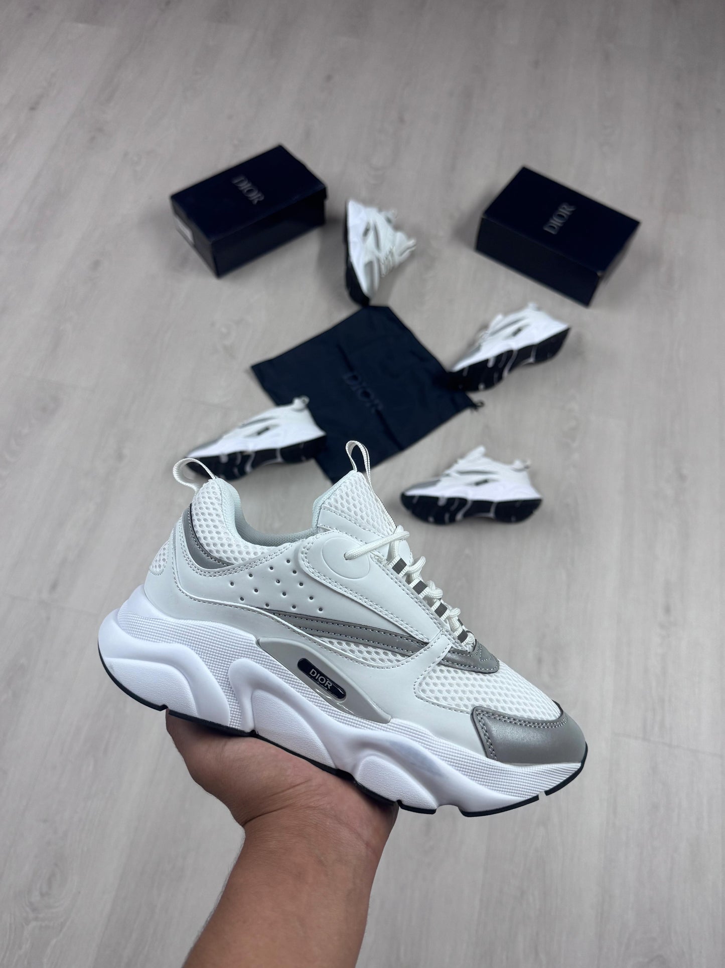 DIOR B22