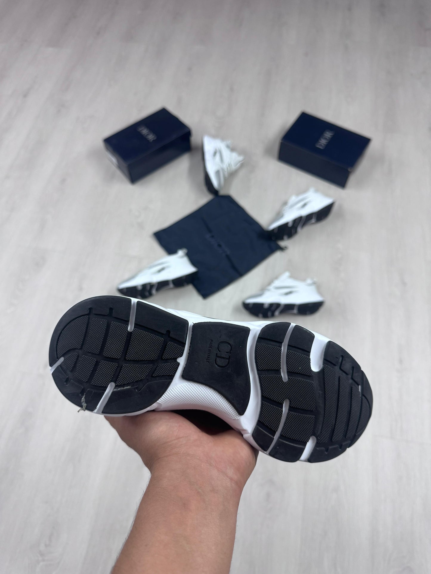 DIOR B22
