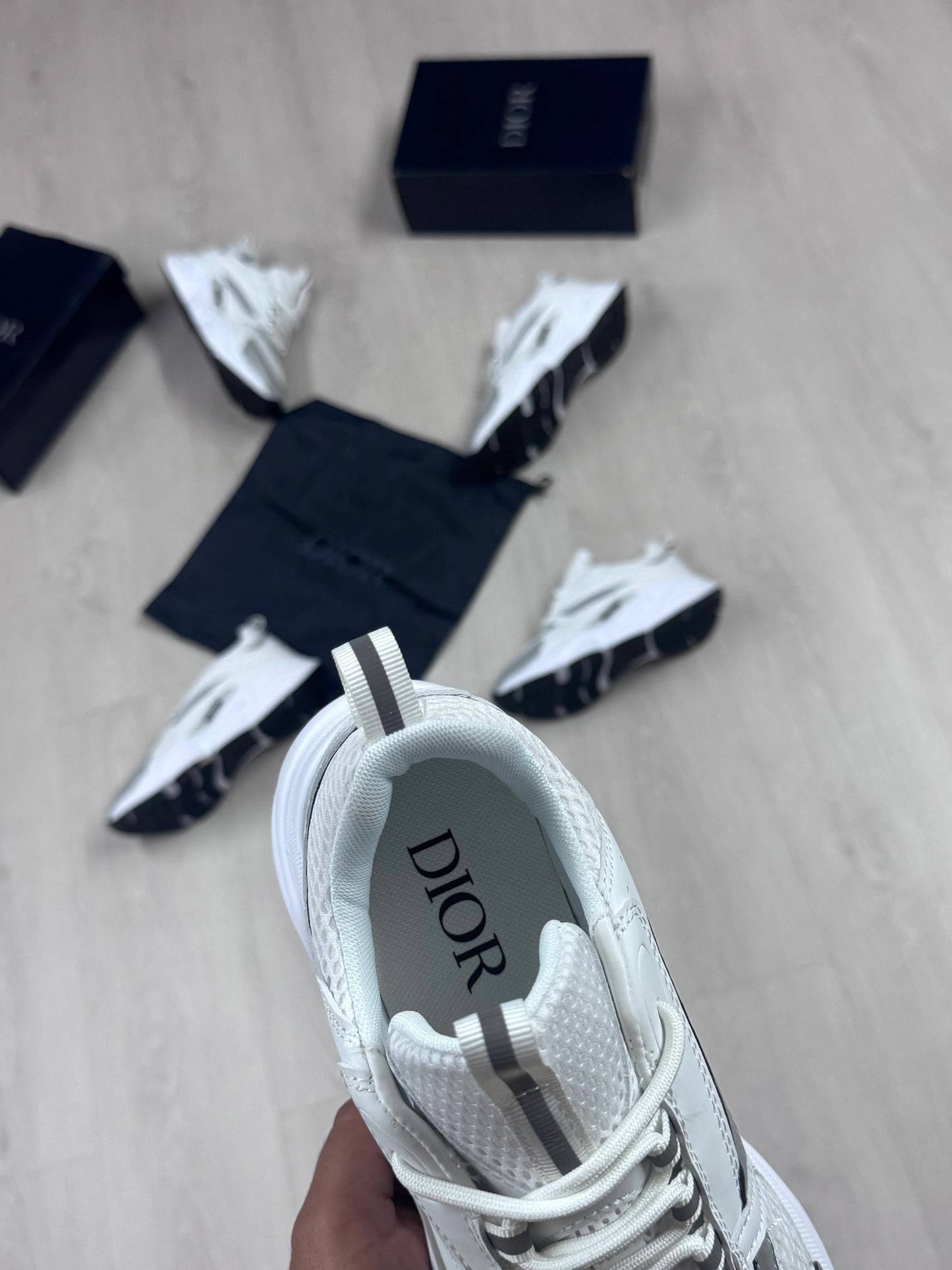 DIOR B22