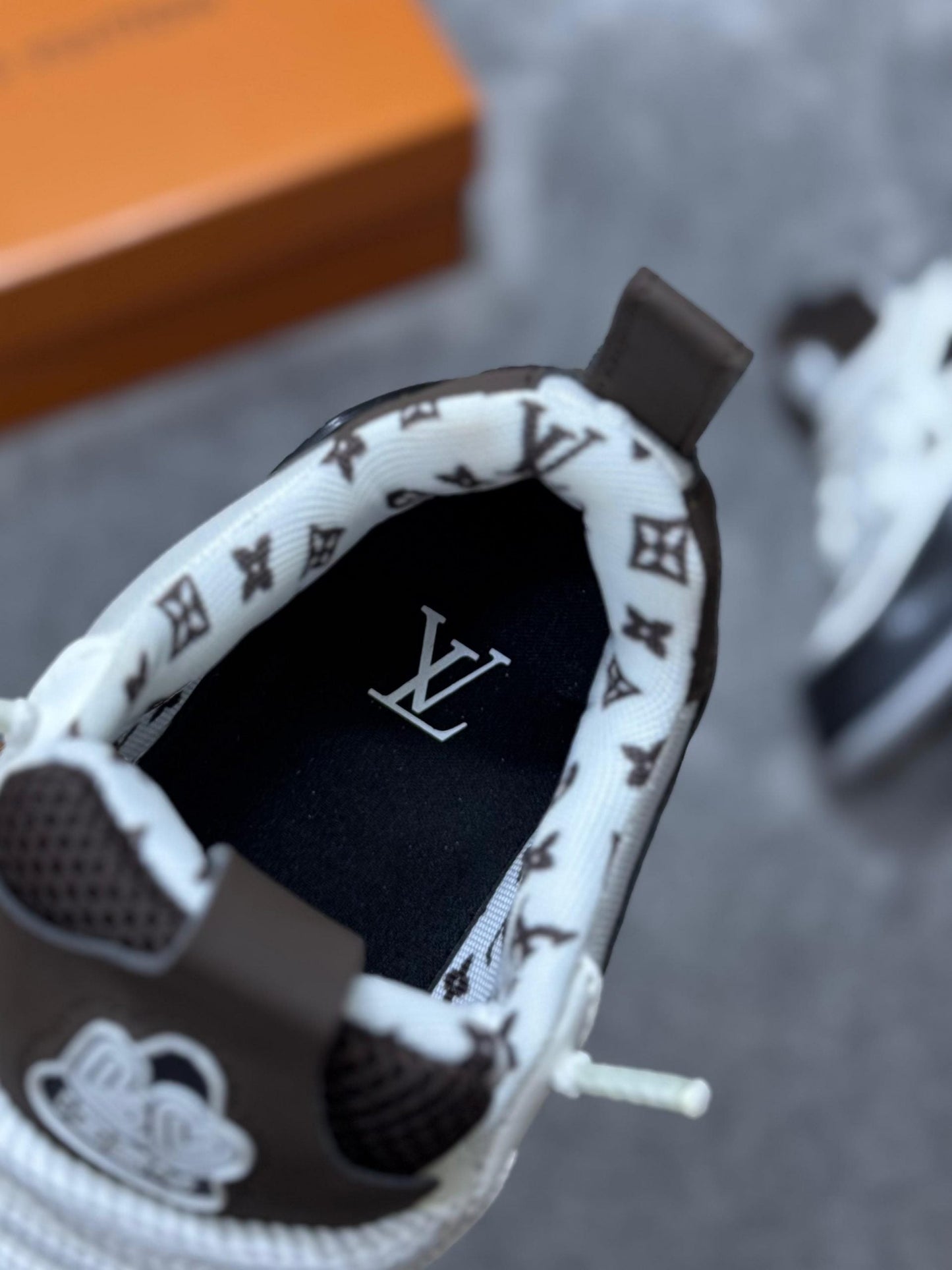 LUIS VUITTON SKATE