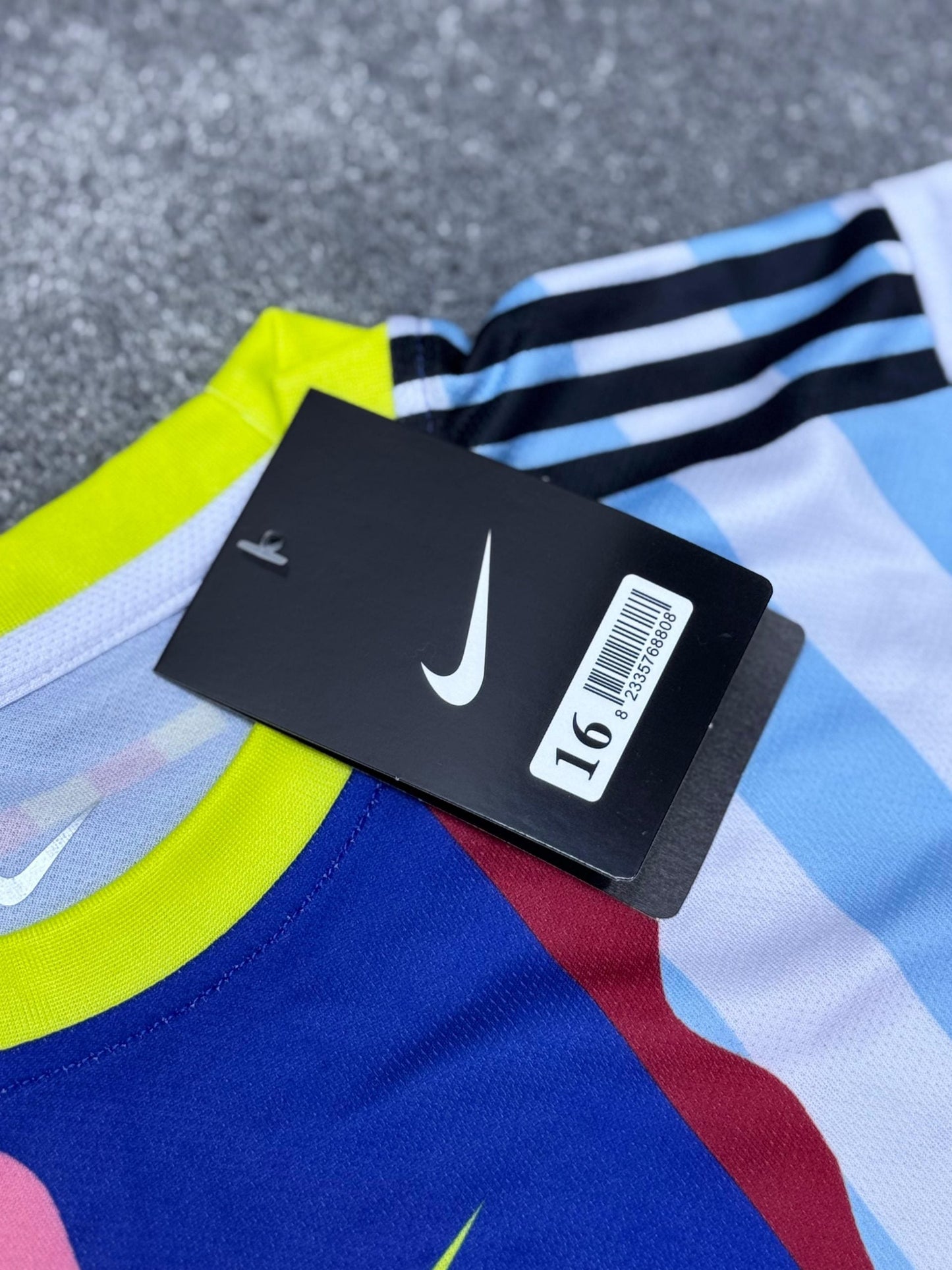 EQUITACIÓN (EDICION ESPECIAL)