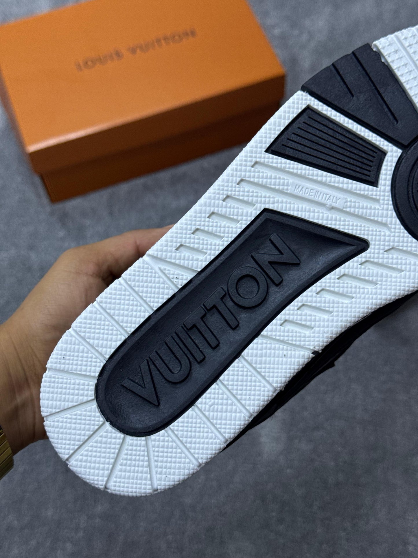LUIS VUITTON SKATE