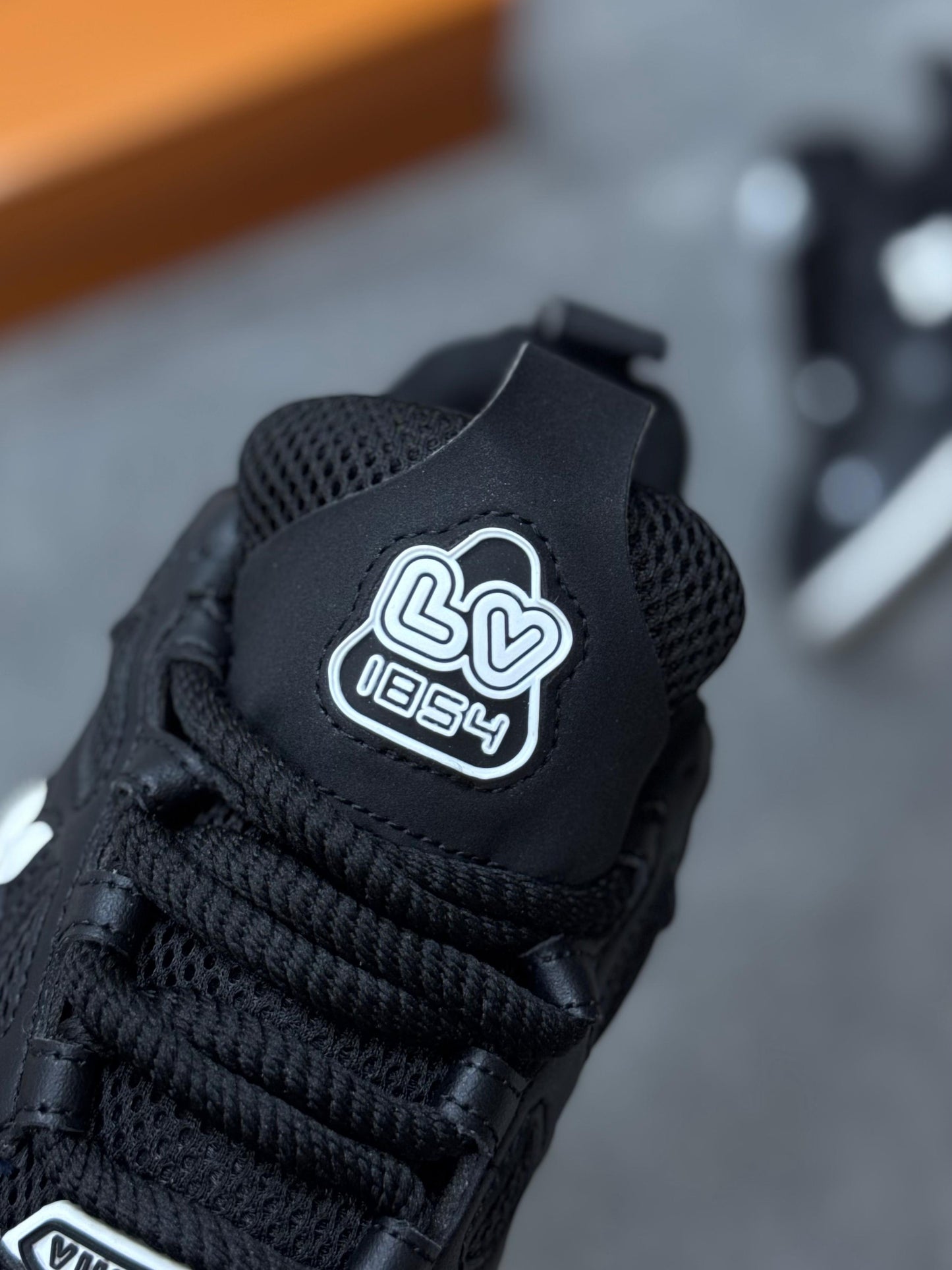 LUIS VUITTON SKATE